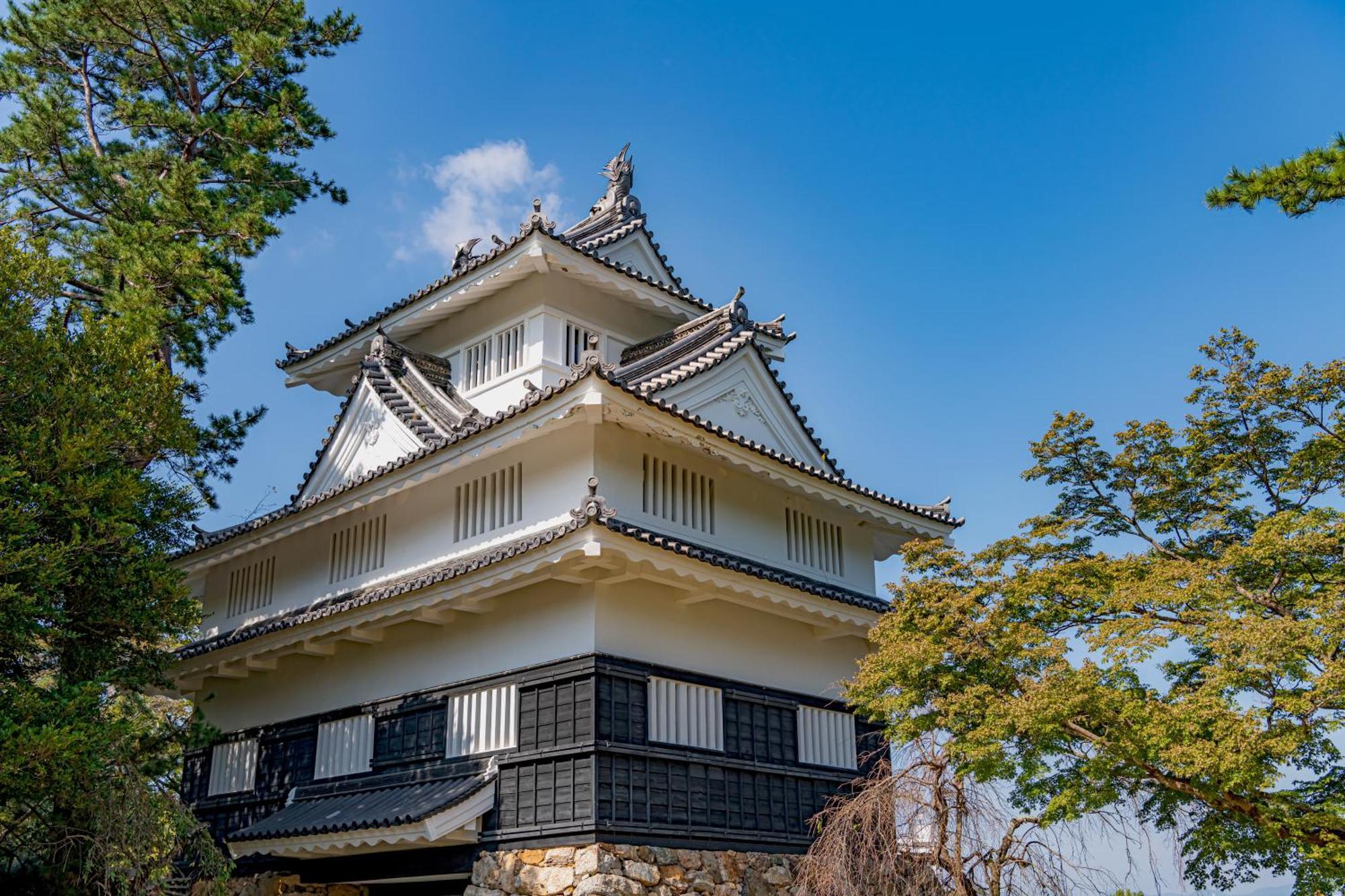 Hotel Associa Toyohashi Exterior foto Komine Castle